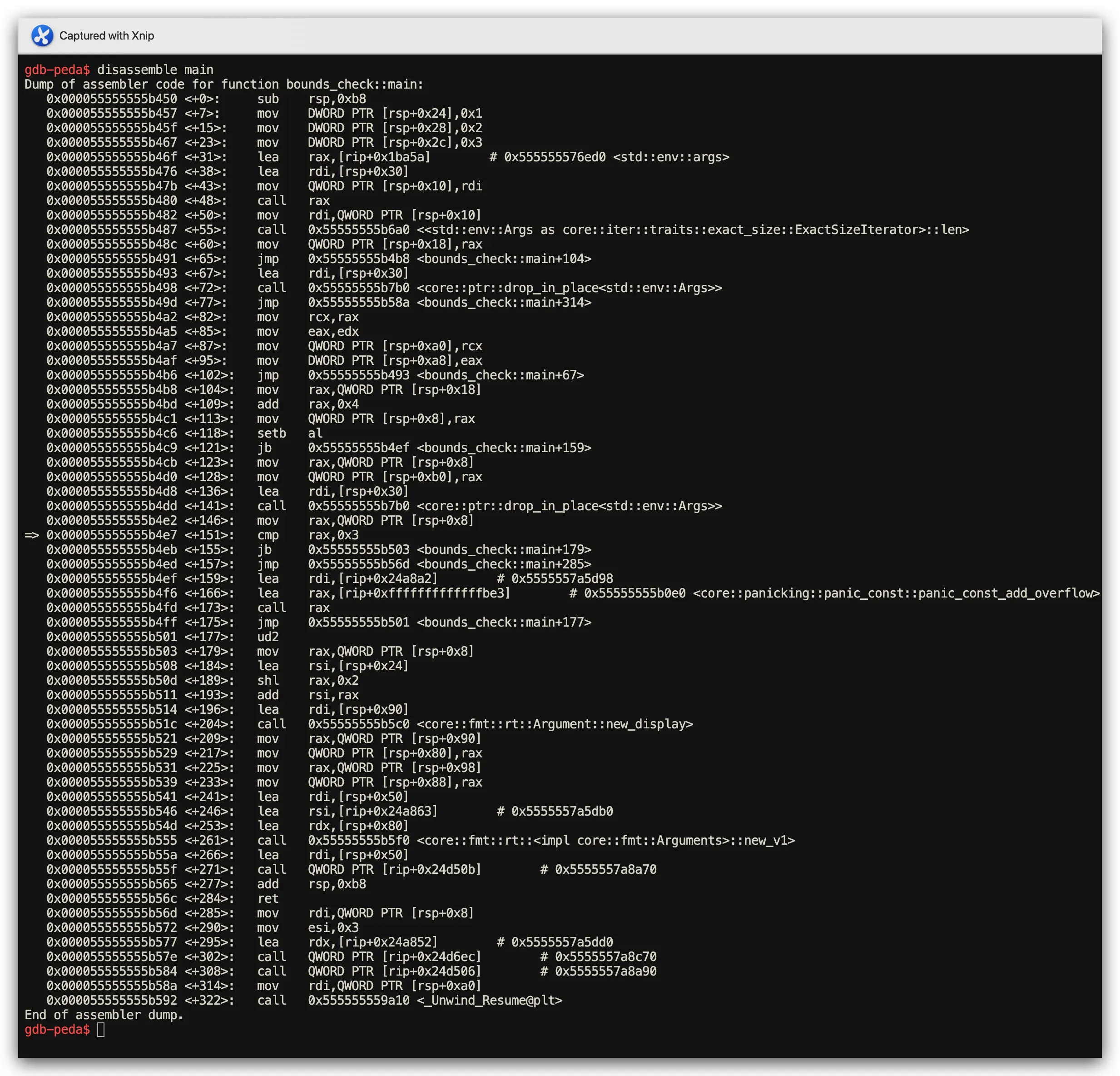Rust bounds check panic handler