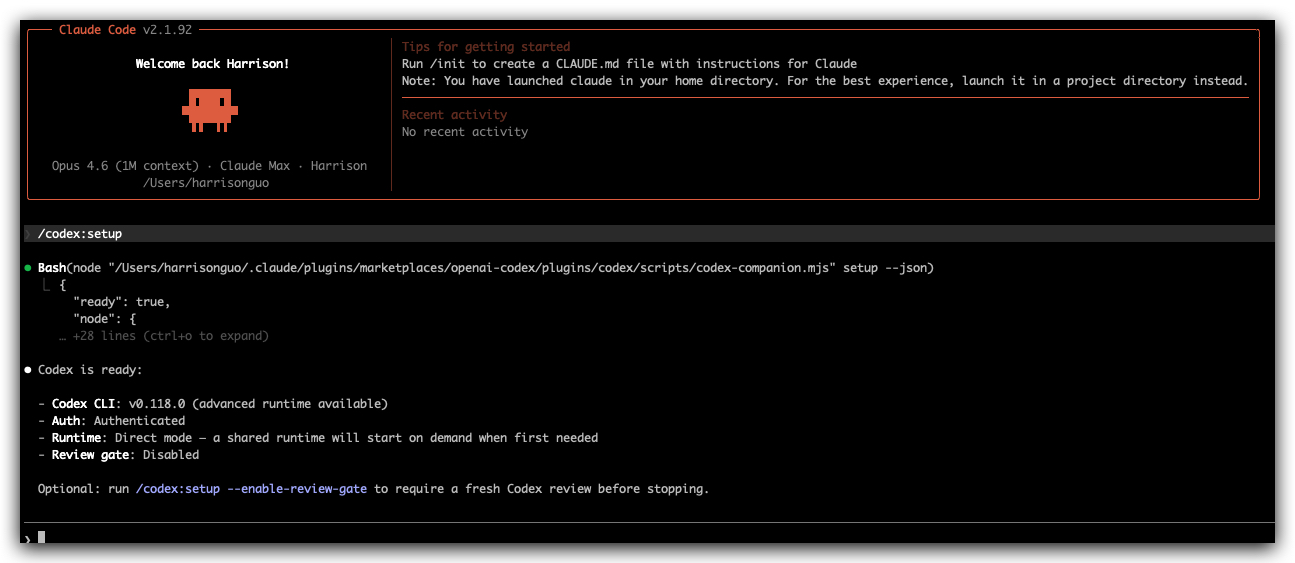 Codex setup — ready, authenticated, review gate available
