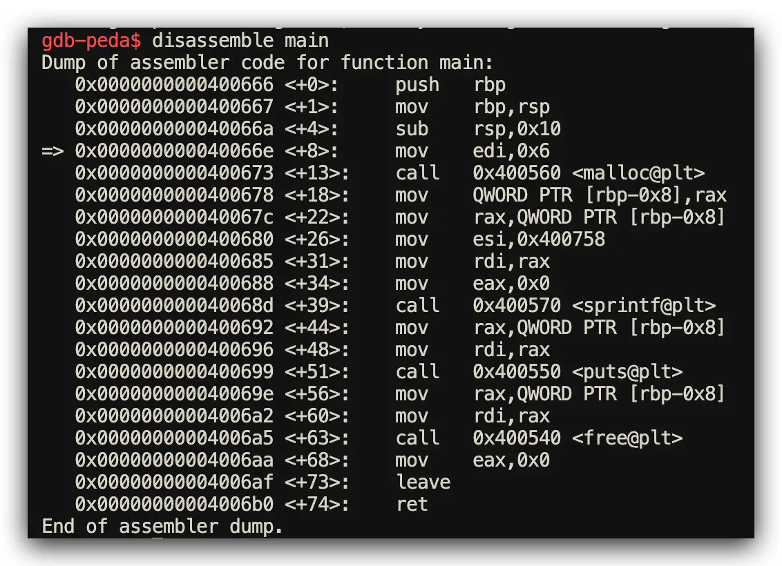 C manual memory management
